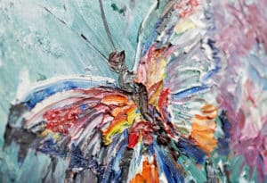 butterfly